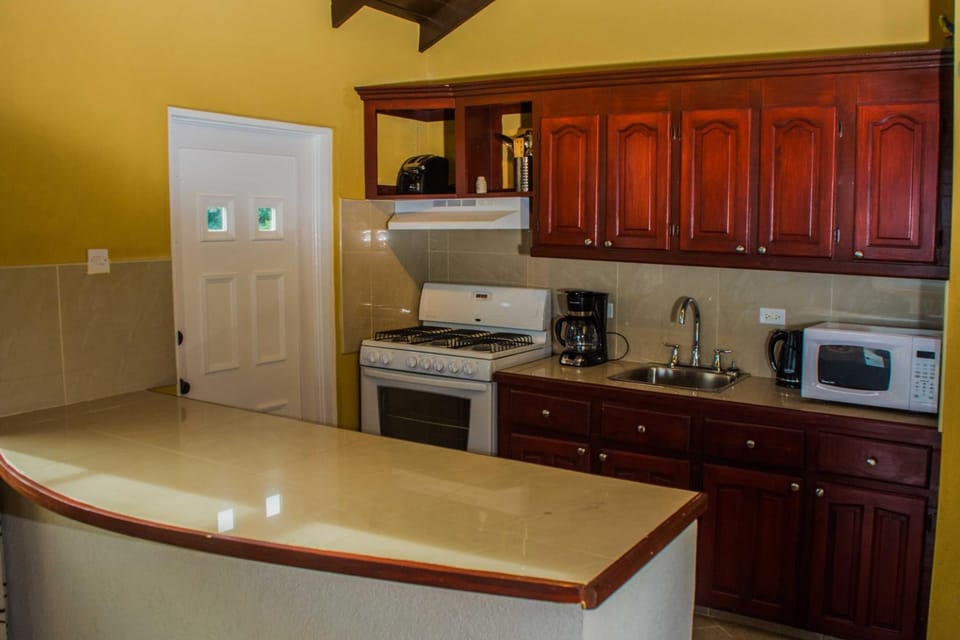 Villa Riana Barbados Apartment in Oistins