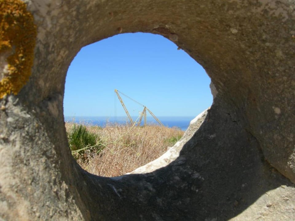 Natural landscape