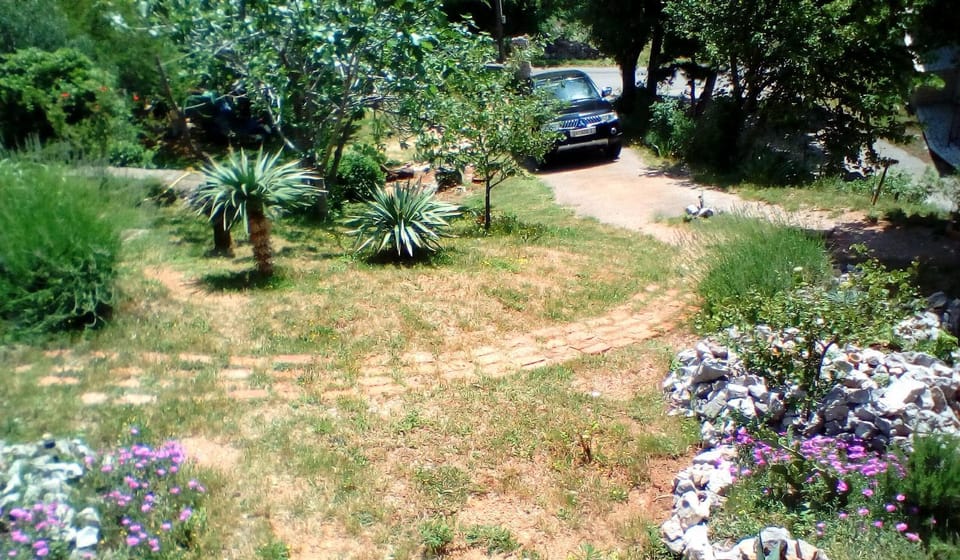Garden view