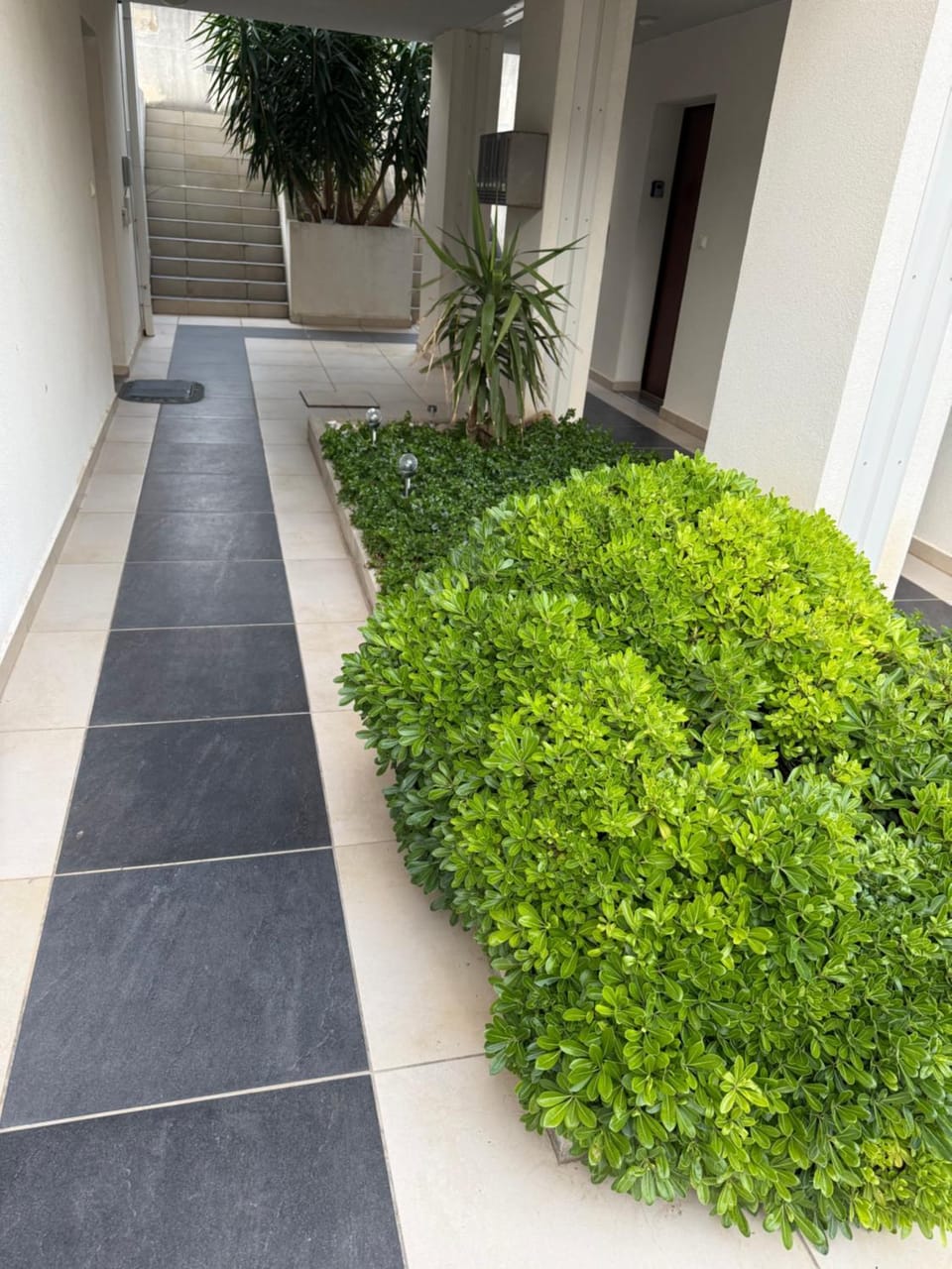 Apartment Lara Apartment in Podstrana