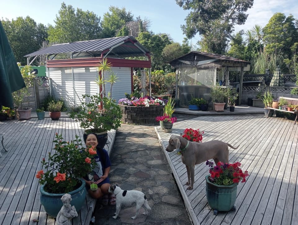 Applaud BnB Bed and Breakfast in Auckland Region
