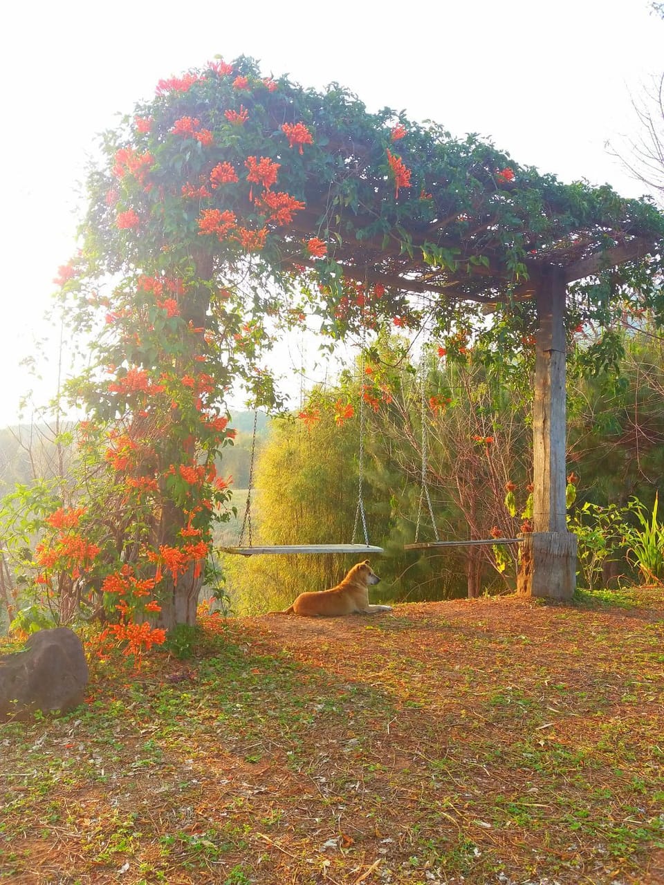 Baan Ing Phu บ้านอิงภู House in Thailand