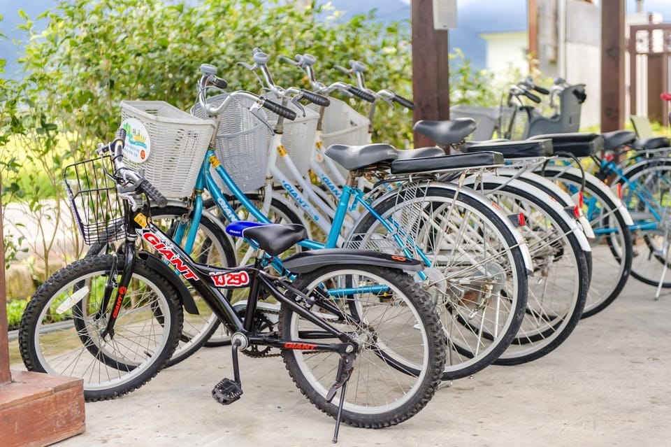 Cycling, Cycling