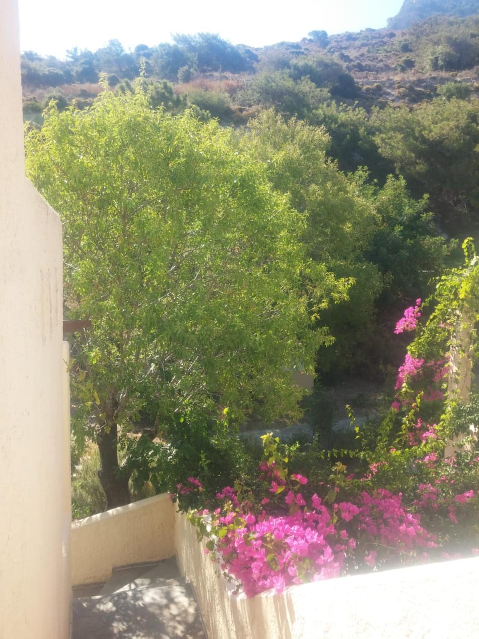 Ζini 2 House in Kos, Greece