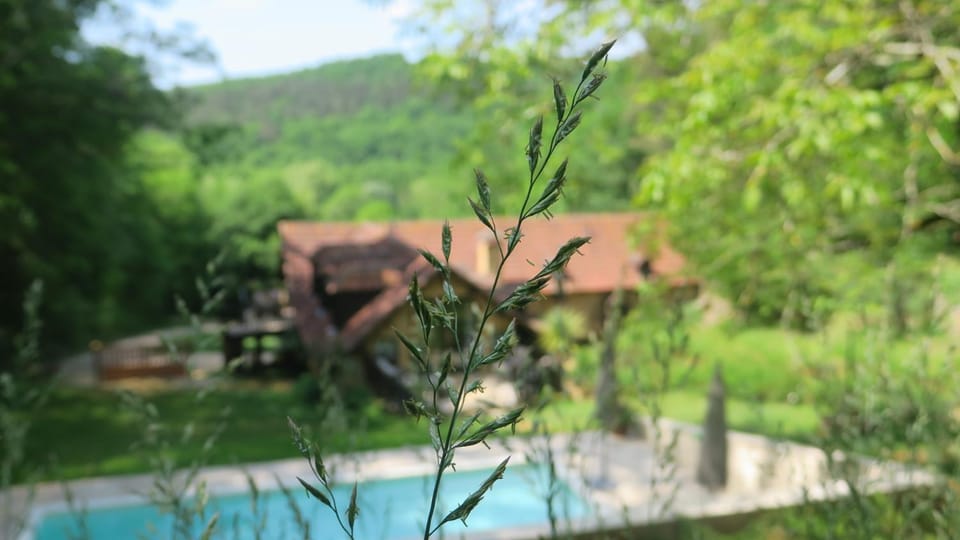 Le Coustal House in Nouvelle-Aquitaine
