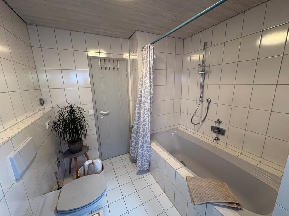 Bathroom, Living room