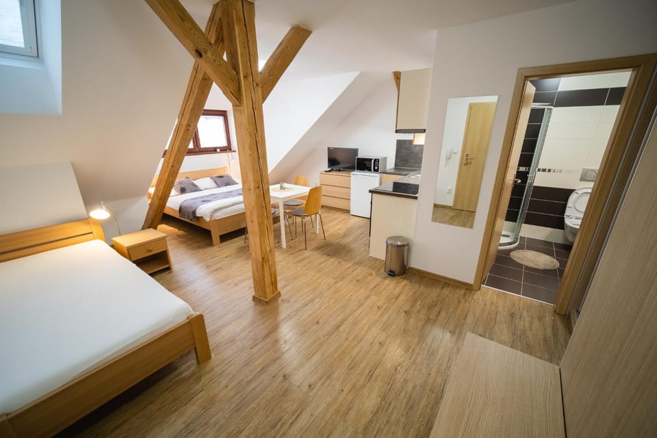 Apartmany 21 Třeboň Apartment in South Bohemian Region