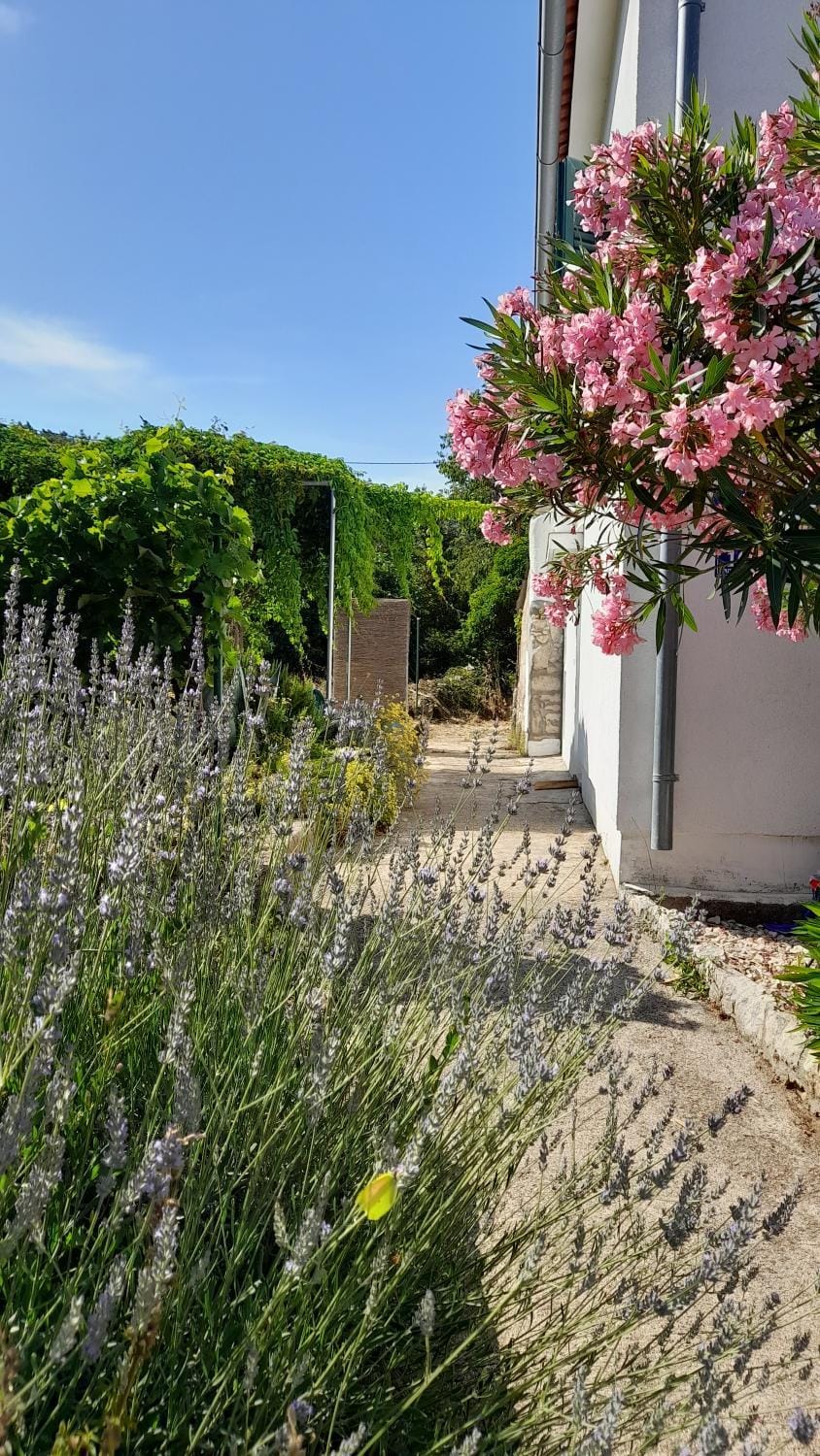 Garden, Garden view