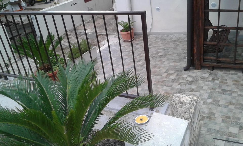 Patio, Garden