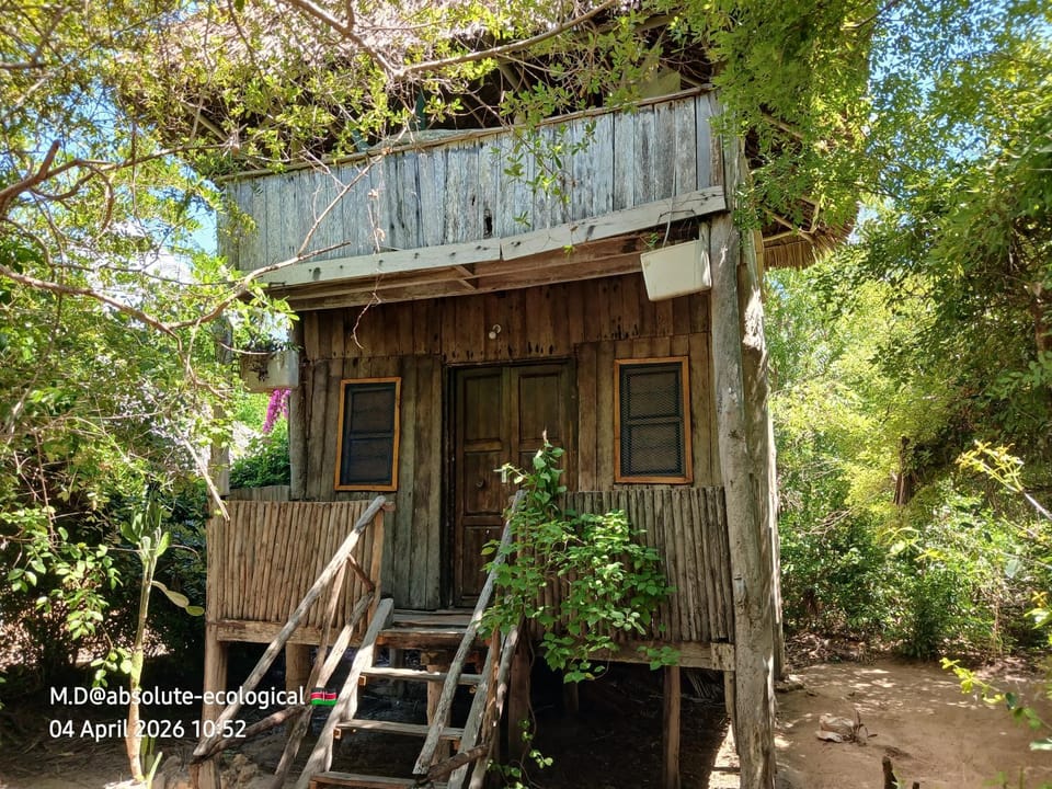 Property building, Garden