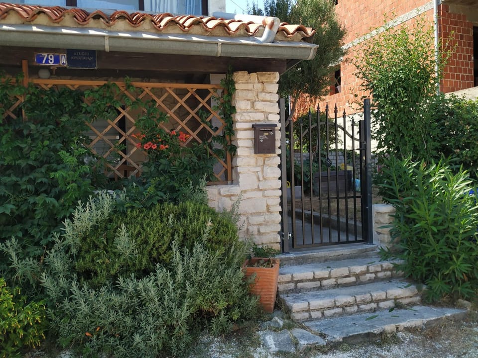 Property building, Garden view