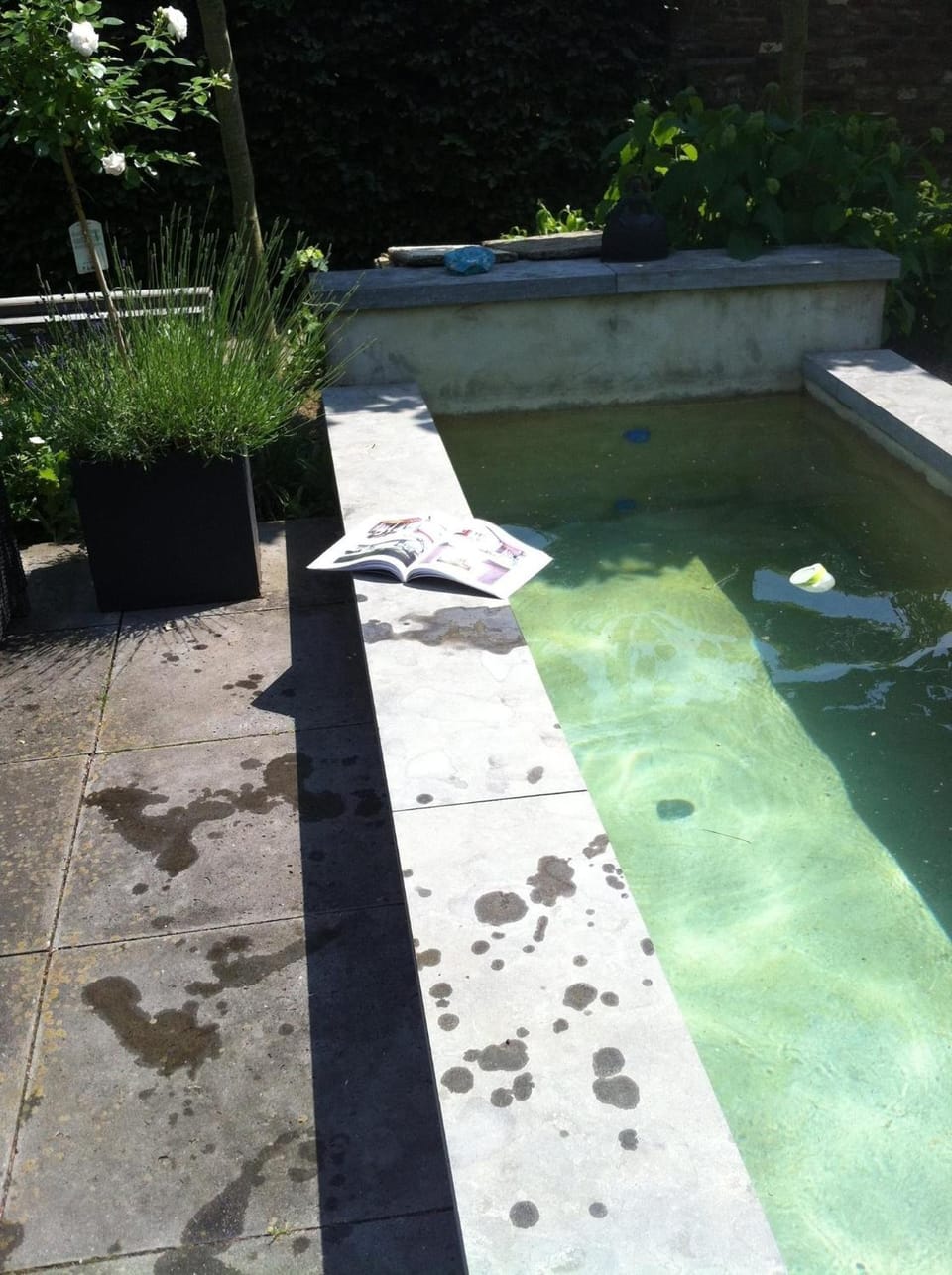 Onder de Noot Bed and Breakfast in Limburg (province)