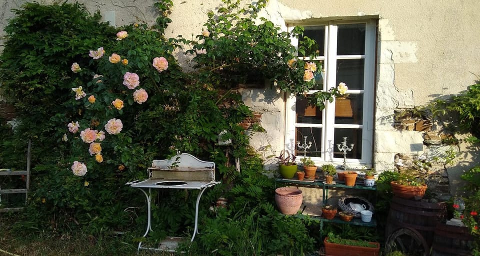 Spring, Garden