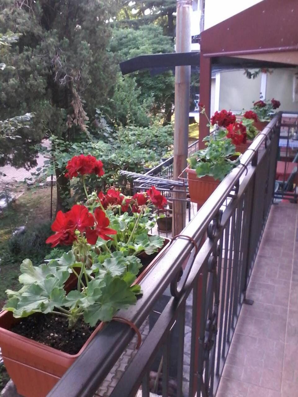 Apartments Olga Apartment in Podgorica Municipality, Montenegro