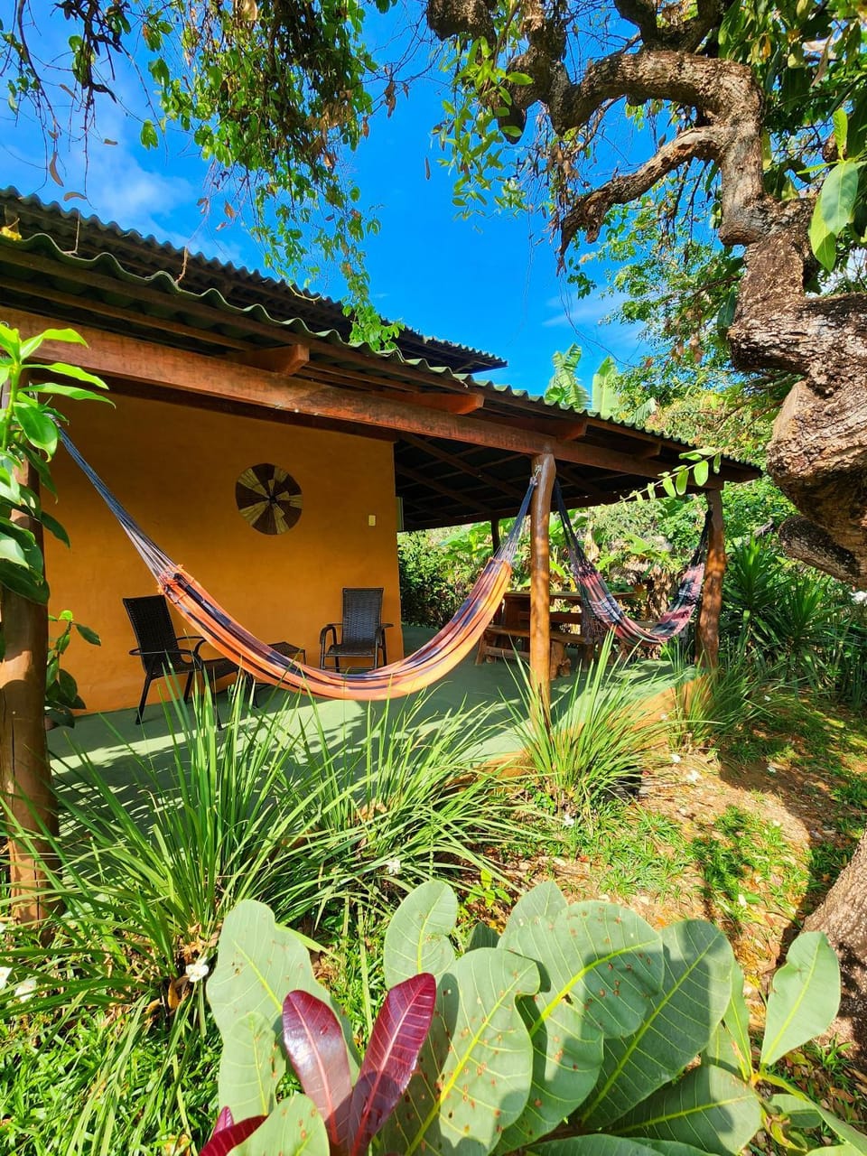 Patio, Garden view