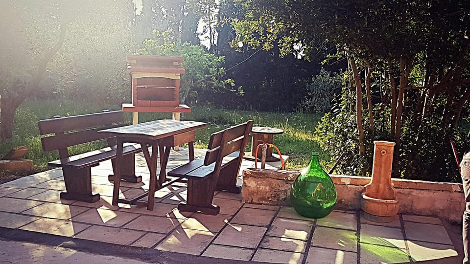 Restaurant/places to eat, Natural landscape, BBQ facilities, Garden, Other, Area and facilities