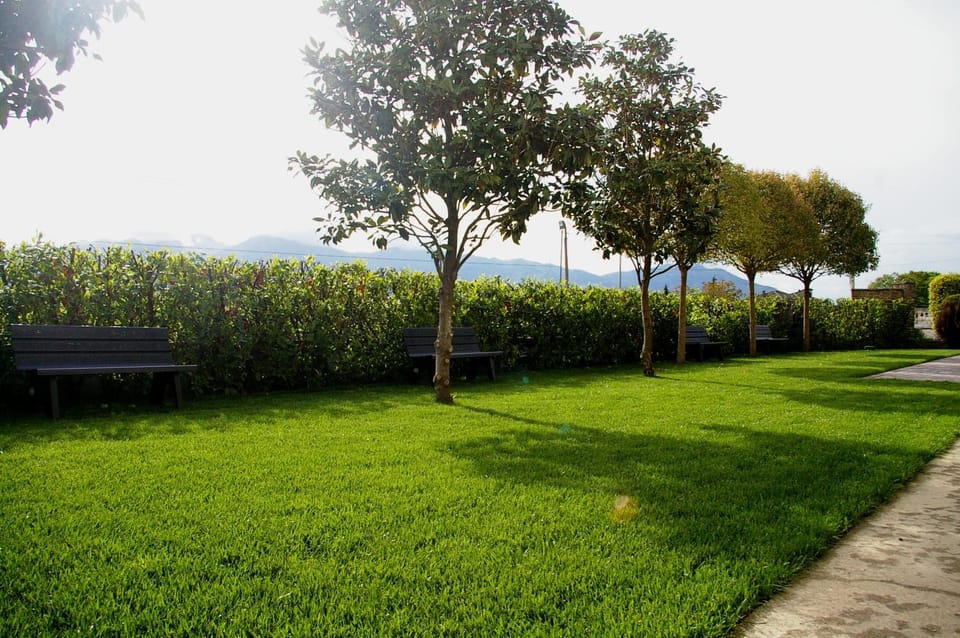 Facade/entrance, Garden, View (from property/room), Decorative detail