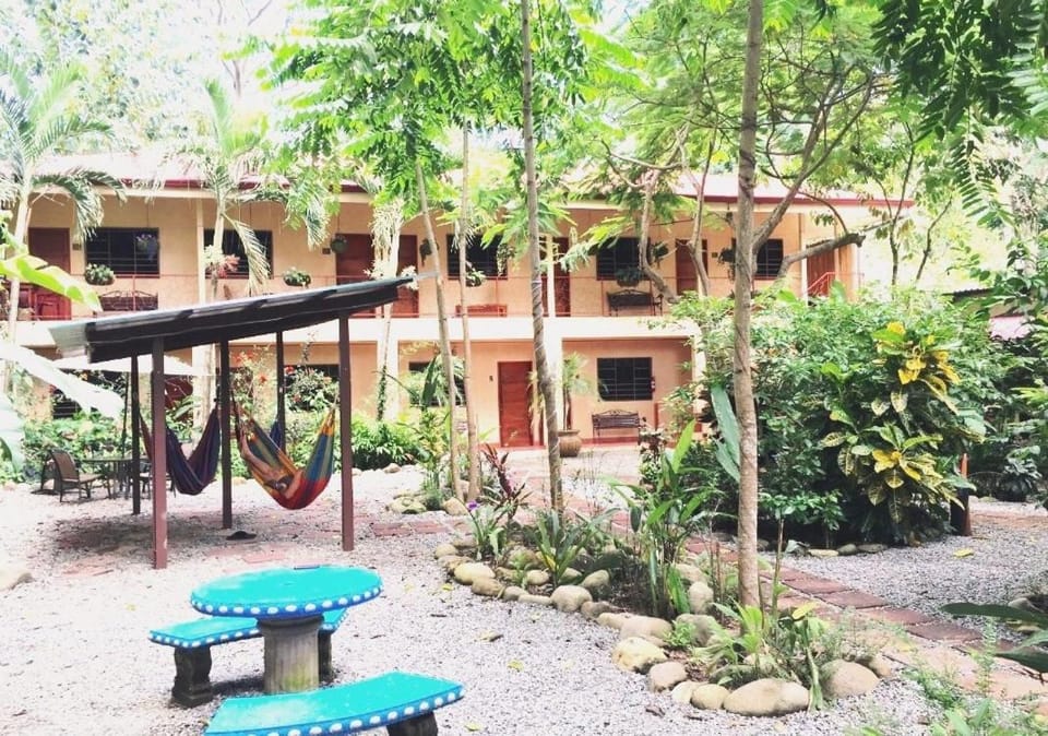 Property building, Garden, Garden view