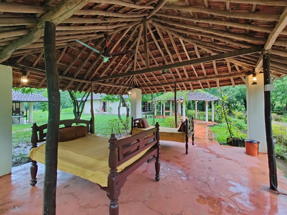 Patio, Day, Garden, Living room, Seating area, Garden view