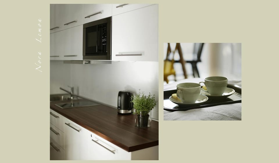 Nora Lemon Apartment in Klaipėda County, Lithuania