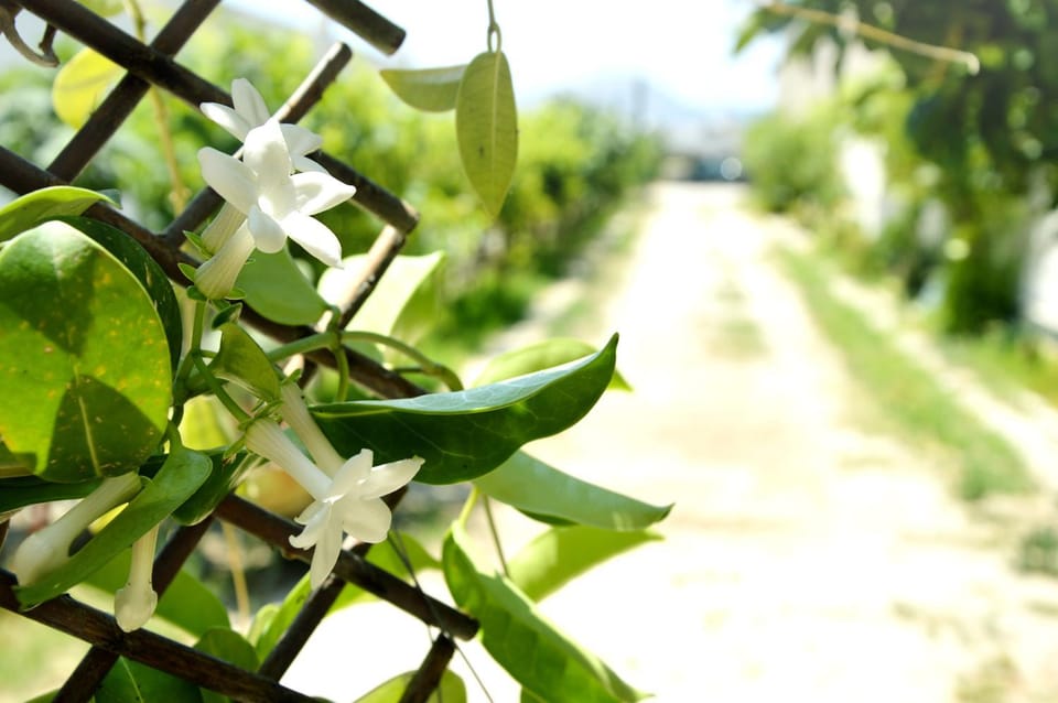Garden, Garden view