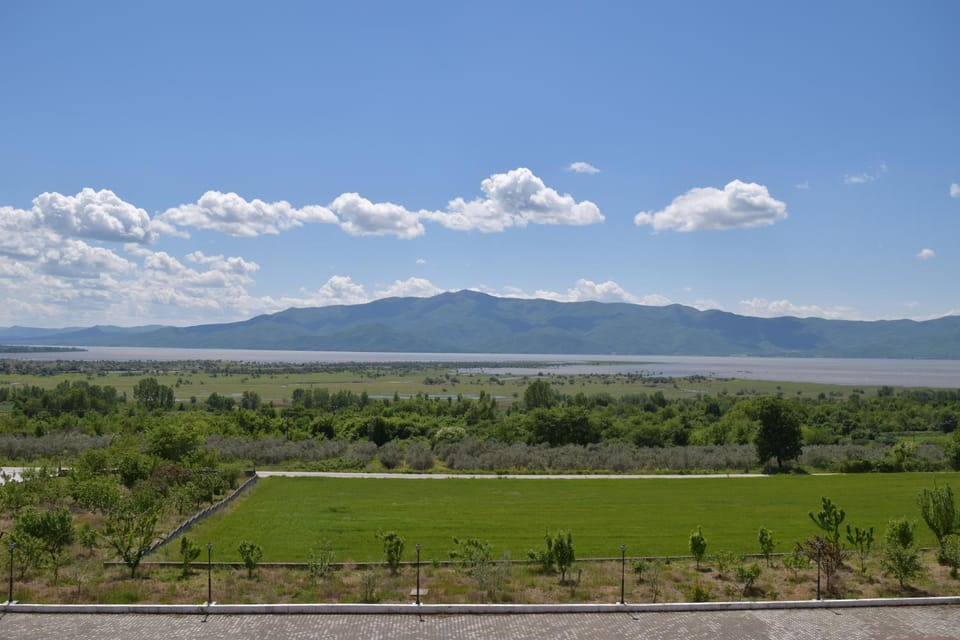 View (from property/room)