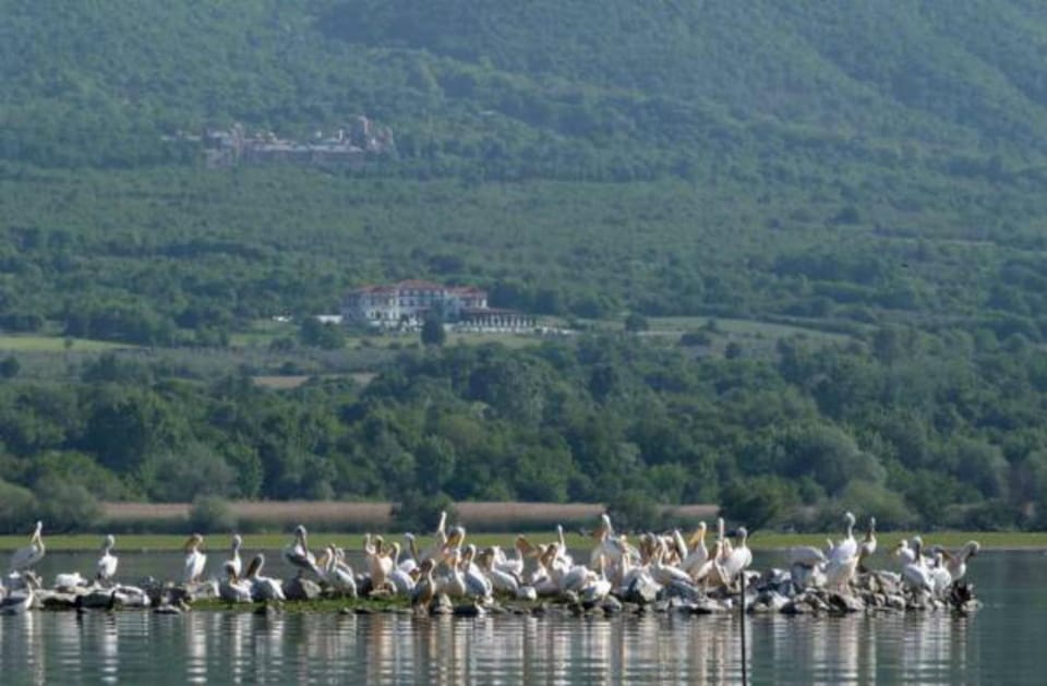 Villa Belles Hotel in Decentralized Administration of Macedonia and Thrace