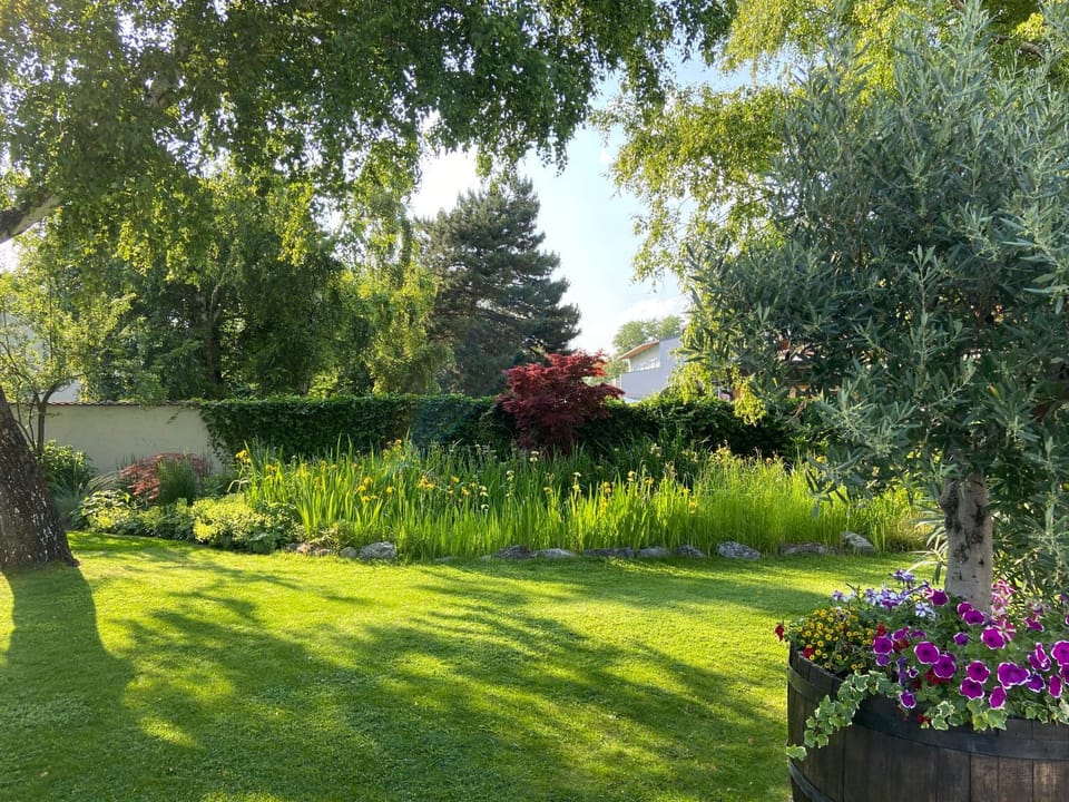 Garden view