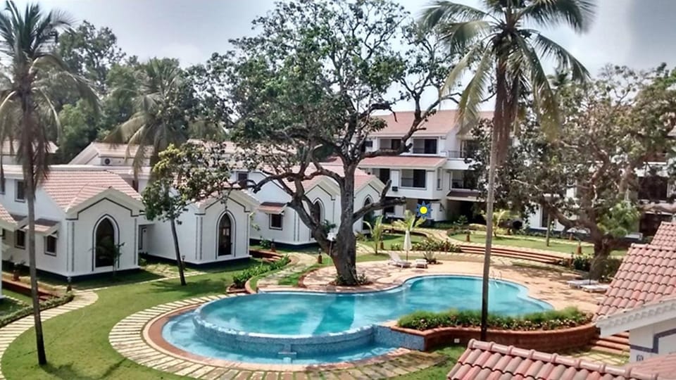 Bird's eye view, Garden, Swimming pool