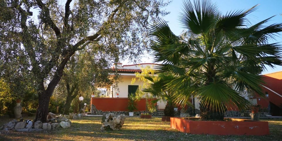 B&B Uliveto del Gargano Bed and Breakfast in Province of Foggia
