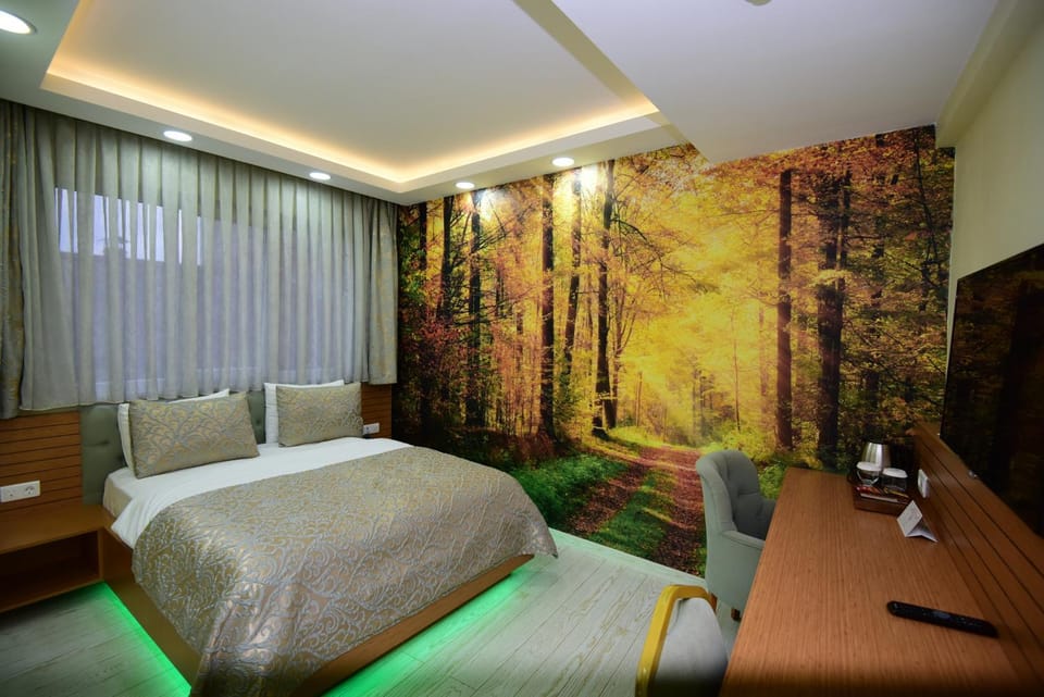 Photo of the whole room