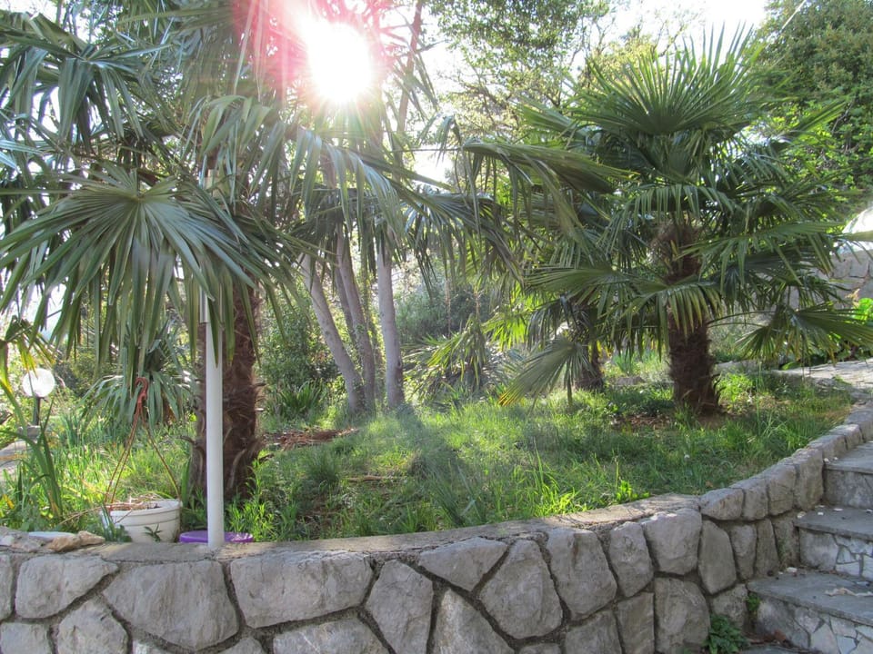 Natural landscape