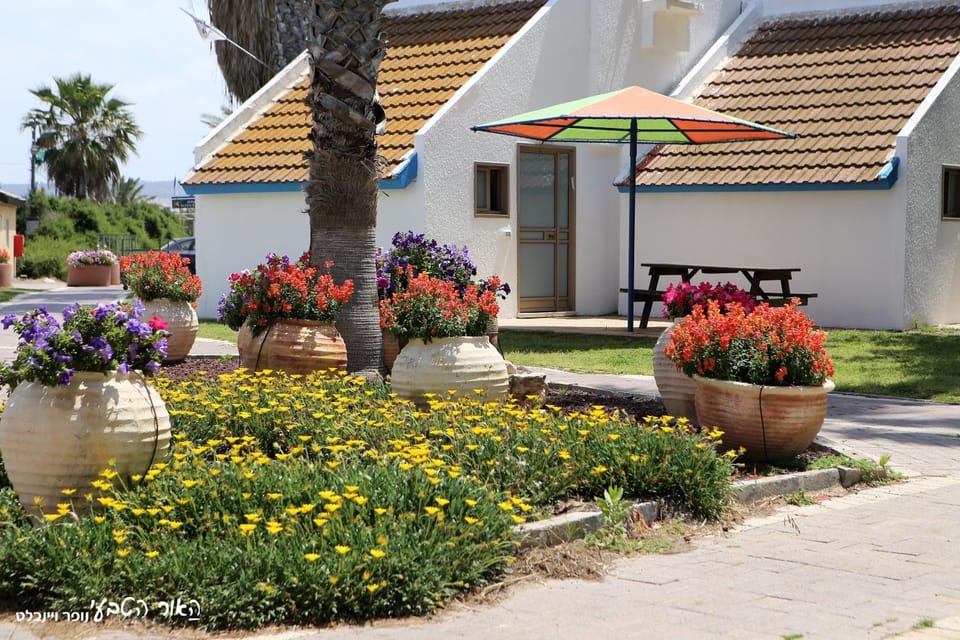 Dor village Campground/ 
RV Resort in Haifa District