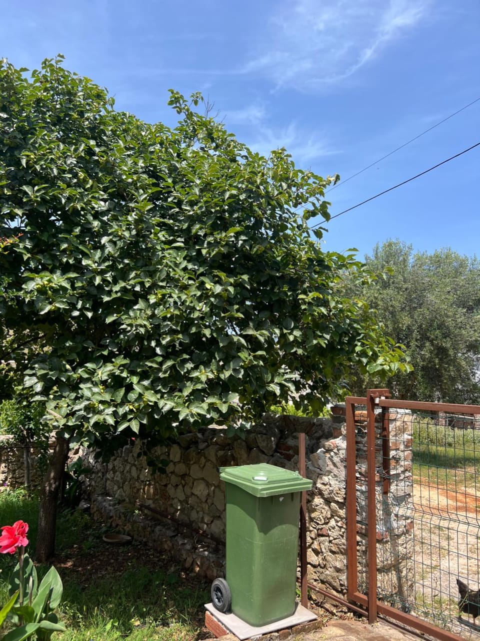 Niks Apartments Apartment in Ksamil