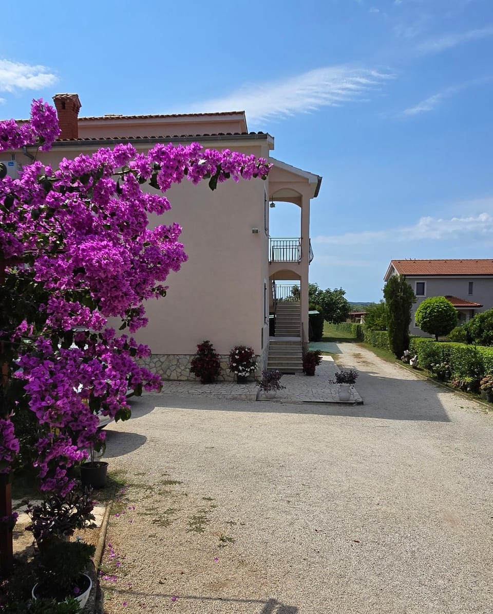 Inner courtyard view