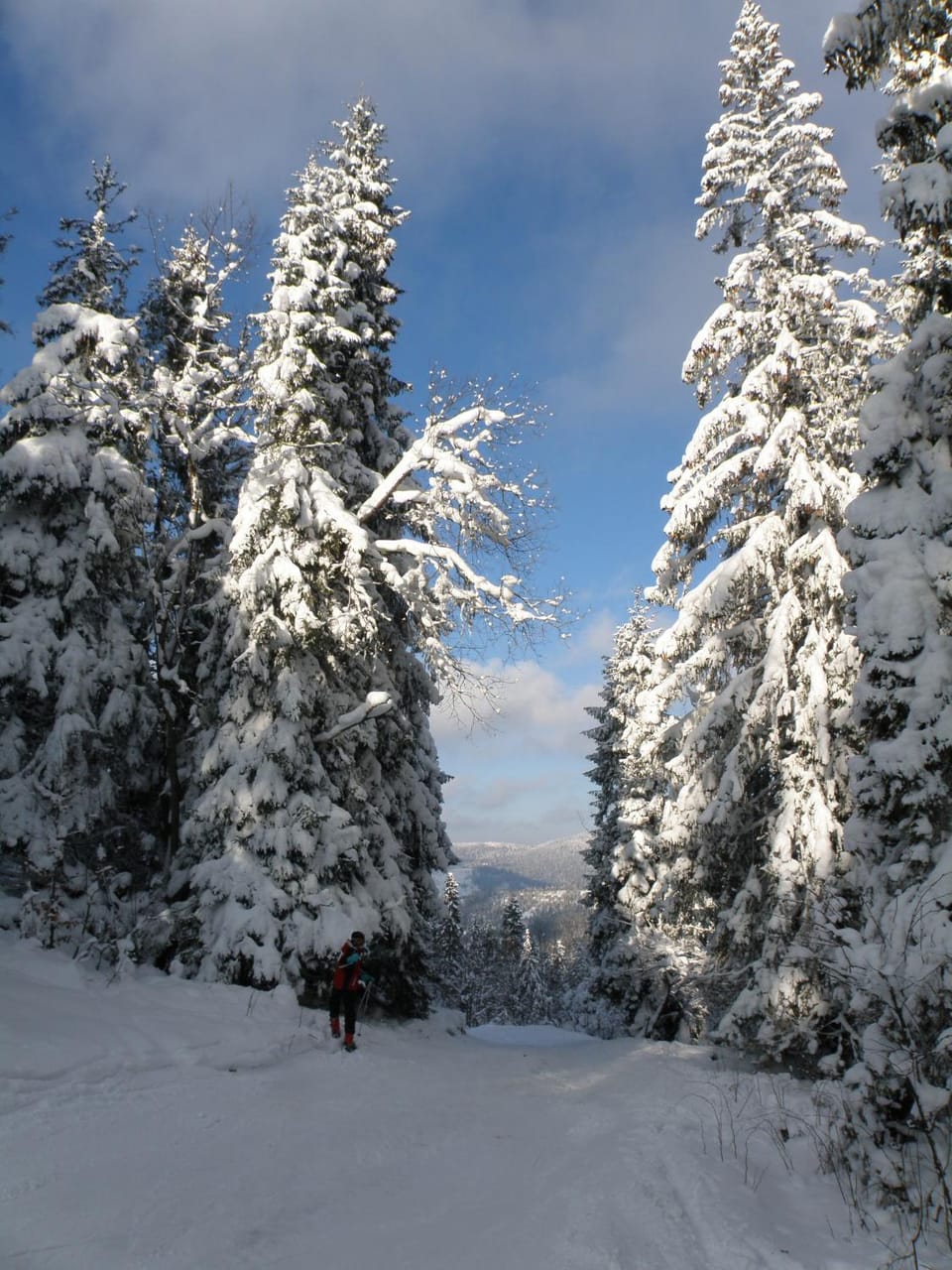 Neighbourhood, Natural landscape, Winter, Skiing
