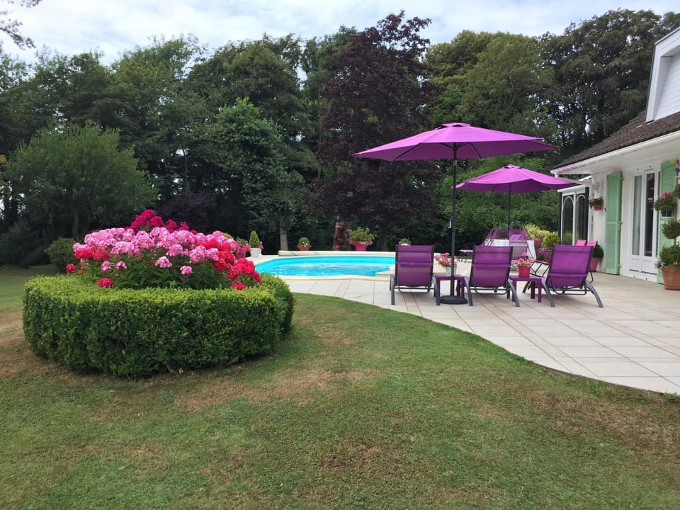 Pool view, Swimming pool