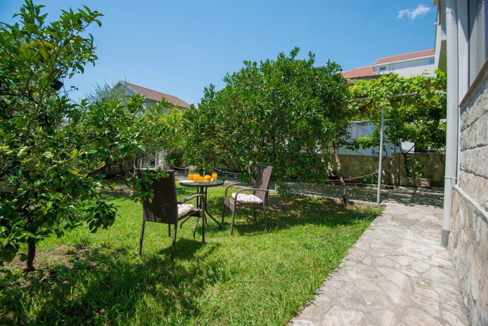 Garden, Food and drinks, Garden view