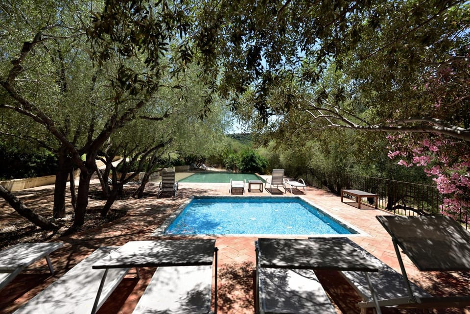 Pool view, Swimming pool