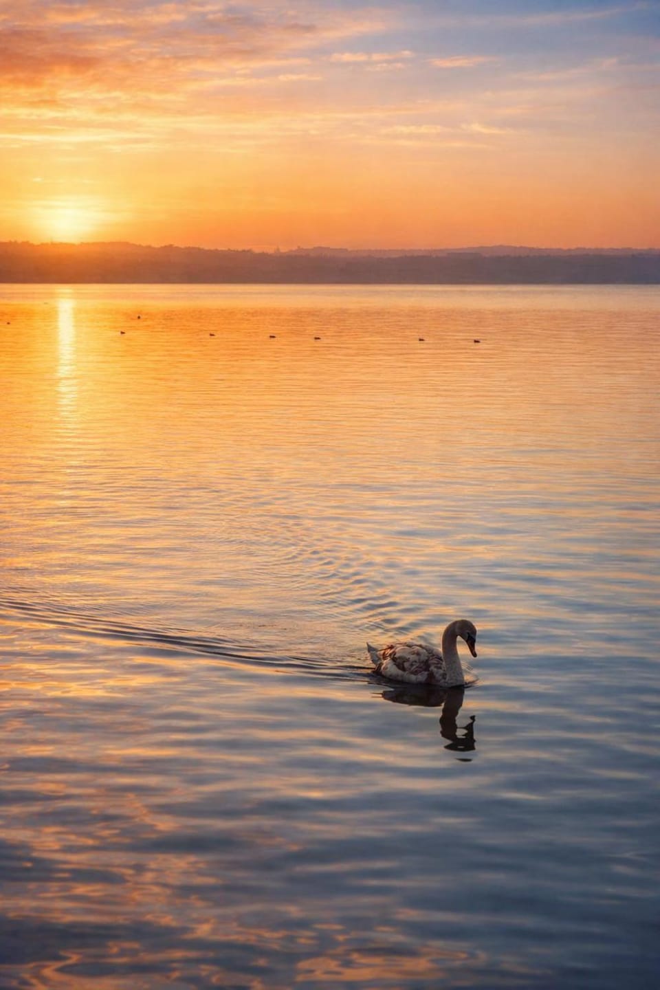 Natural landscape, Sunset