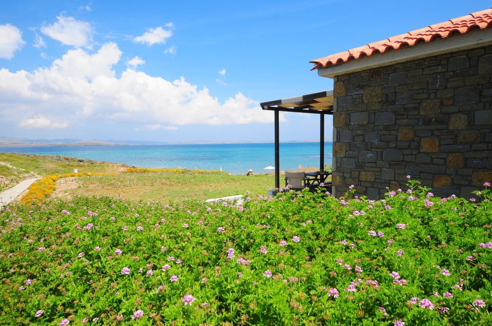 Natural landscape, Garden, Beach