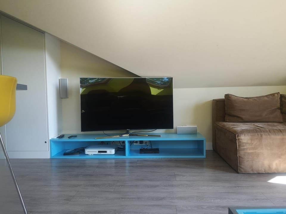 TV and multimedia