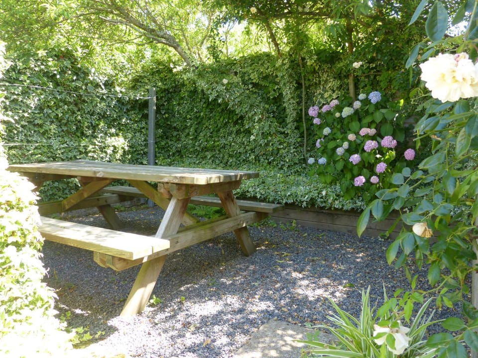 Natural landscape, Summer, Dining area, On site, Sunrise