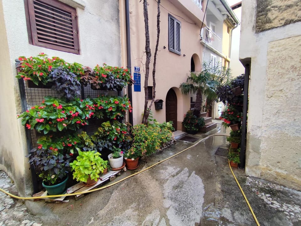 Apartman Pako i Ivano Apartment in Novi Vinodolski