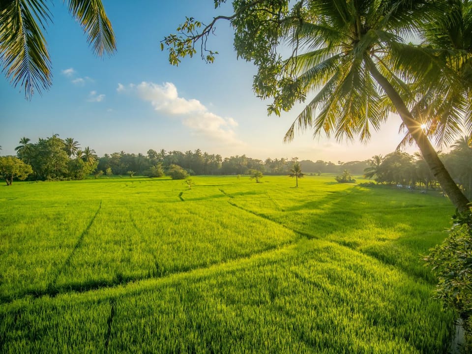 Day, Natural landscape, View (from property/room), View (from property/room)