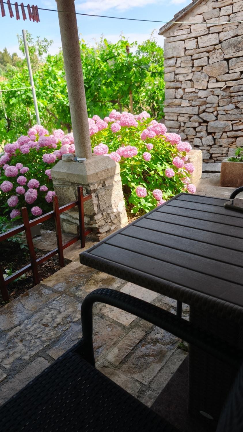 Patio, Spring, Day, Garden, View (from property/room), Balcony/Terrace, Seating area, Garden view