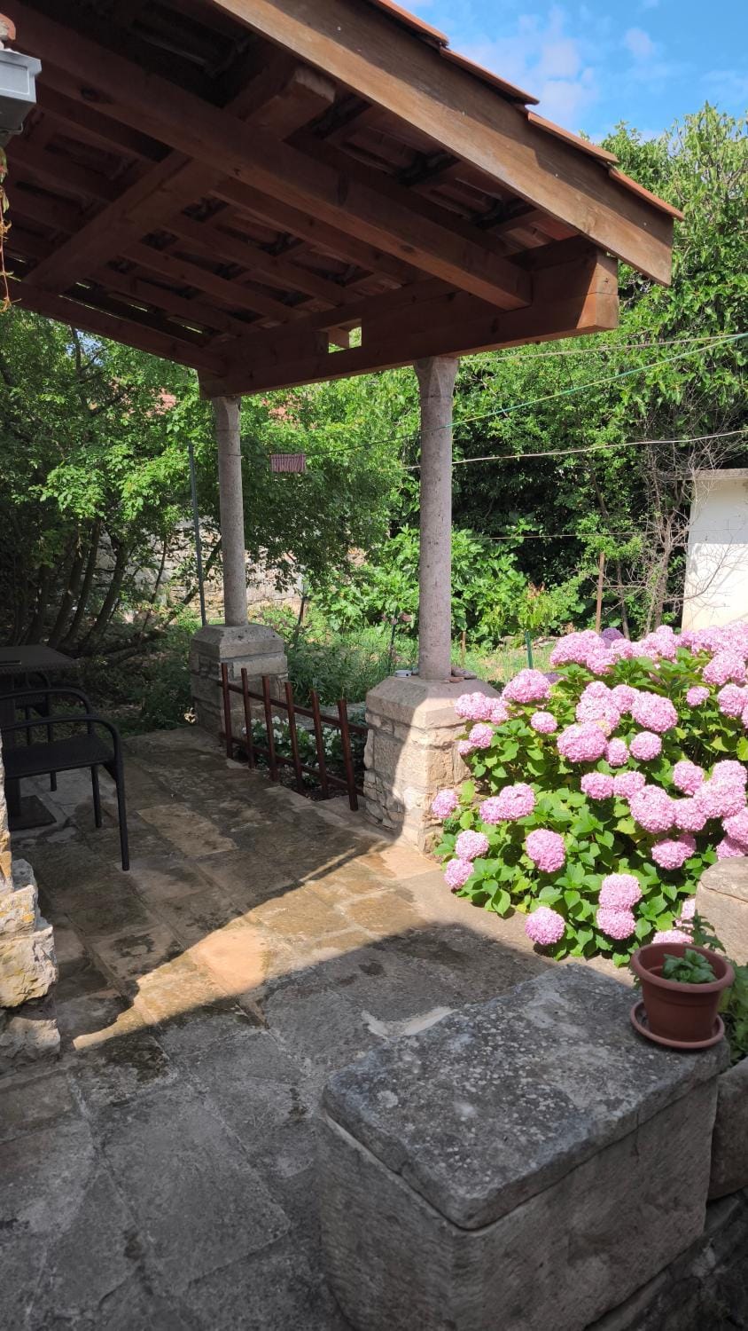 Spring, Day, Garden, Garden view