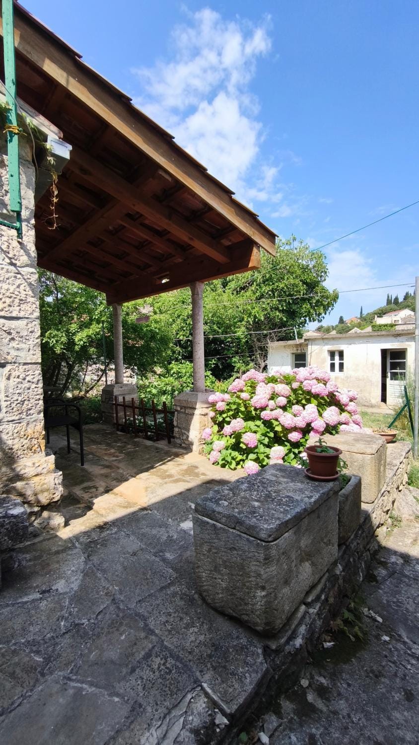 Property building, Spring, Day, Garden, Garden view