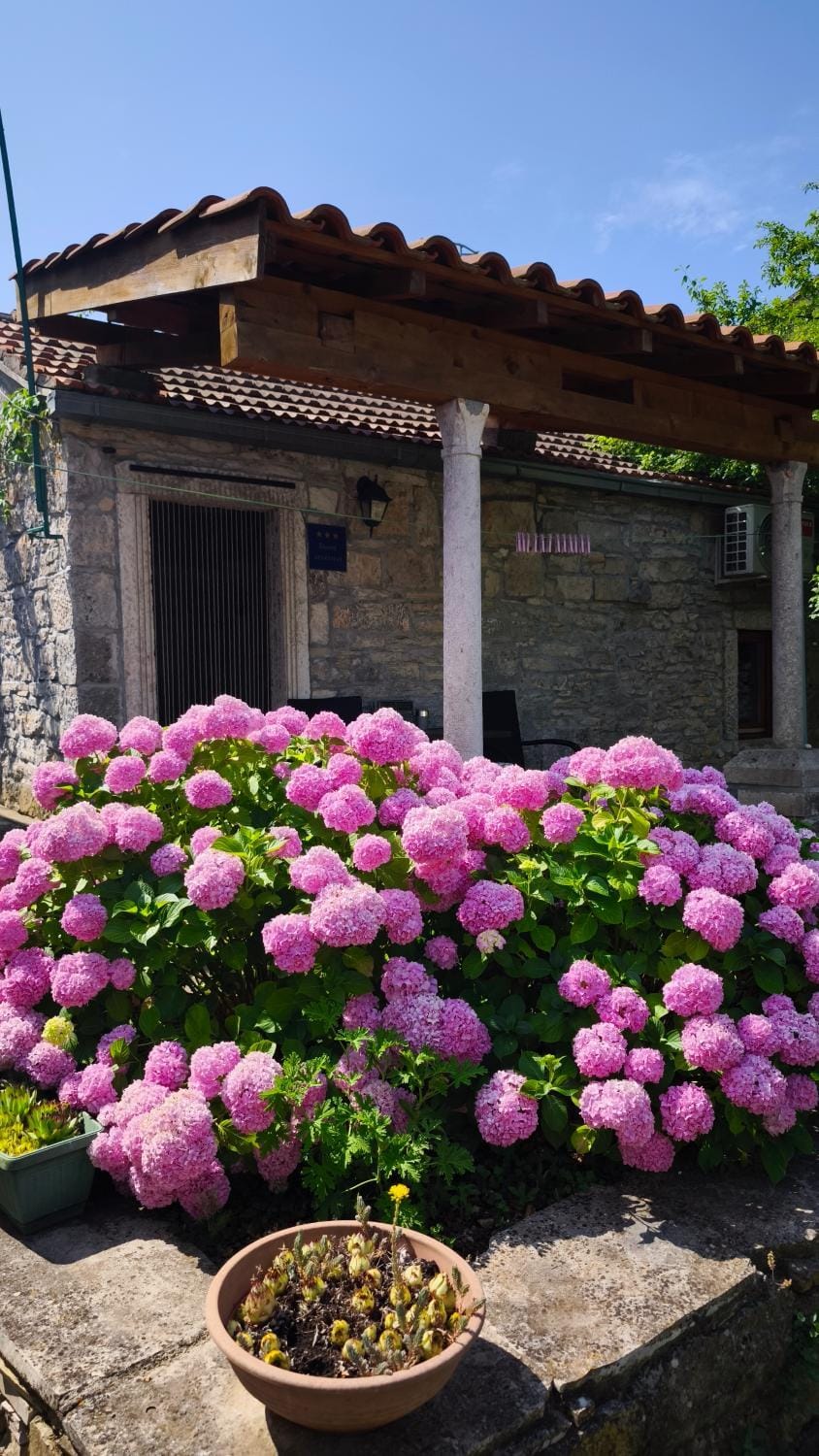 Property building, Spring, Day, Garden, Garden view