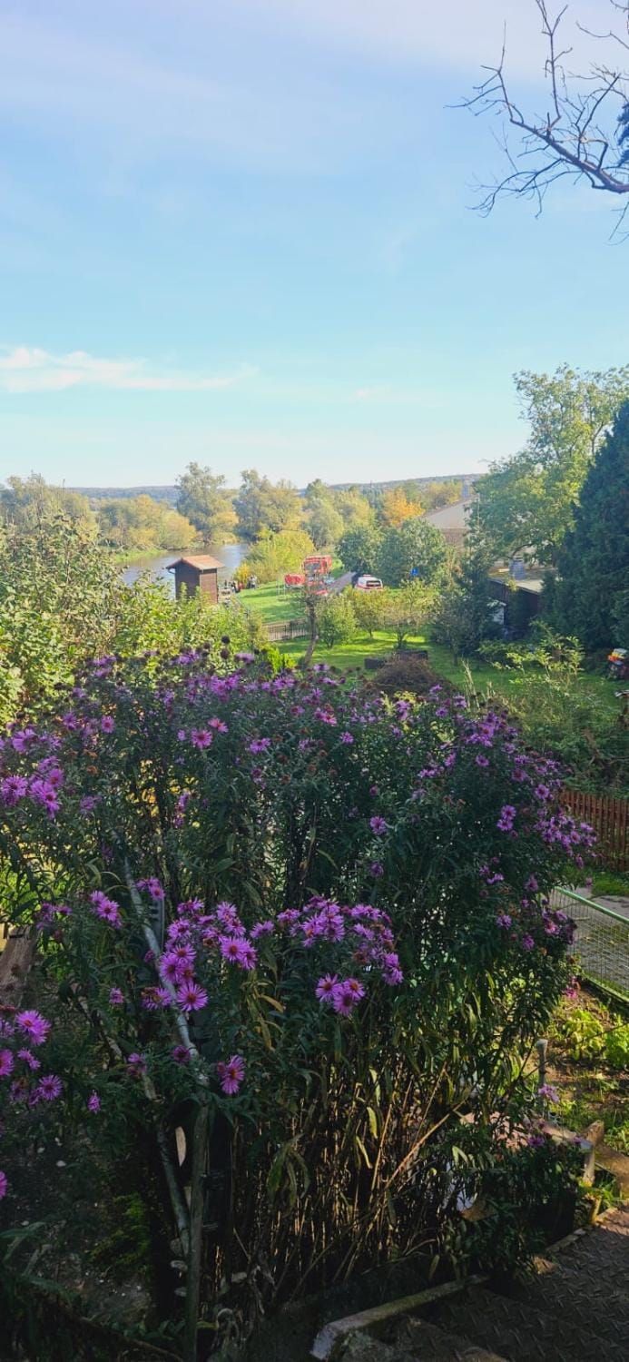 Pension Gasthaus zum Pegel Bed and Breakfast in Thuringia, Germany